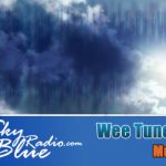 Sky Blue Radio Wee Tune Beastie II
