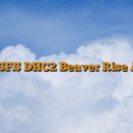 MSFS DHC2 Beaver Rise Air