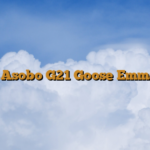 MSFS Asobo G21 Goose Emma Field