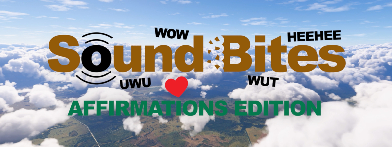 Sound Bites: Affirmations, l’Add-on Spensierato di Spicy Simulations per MSFS
